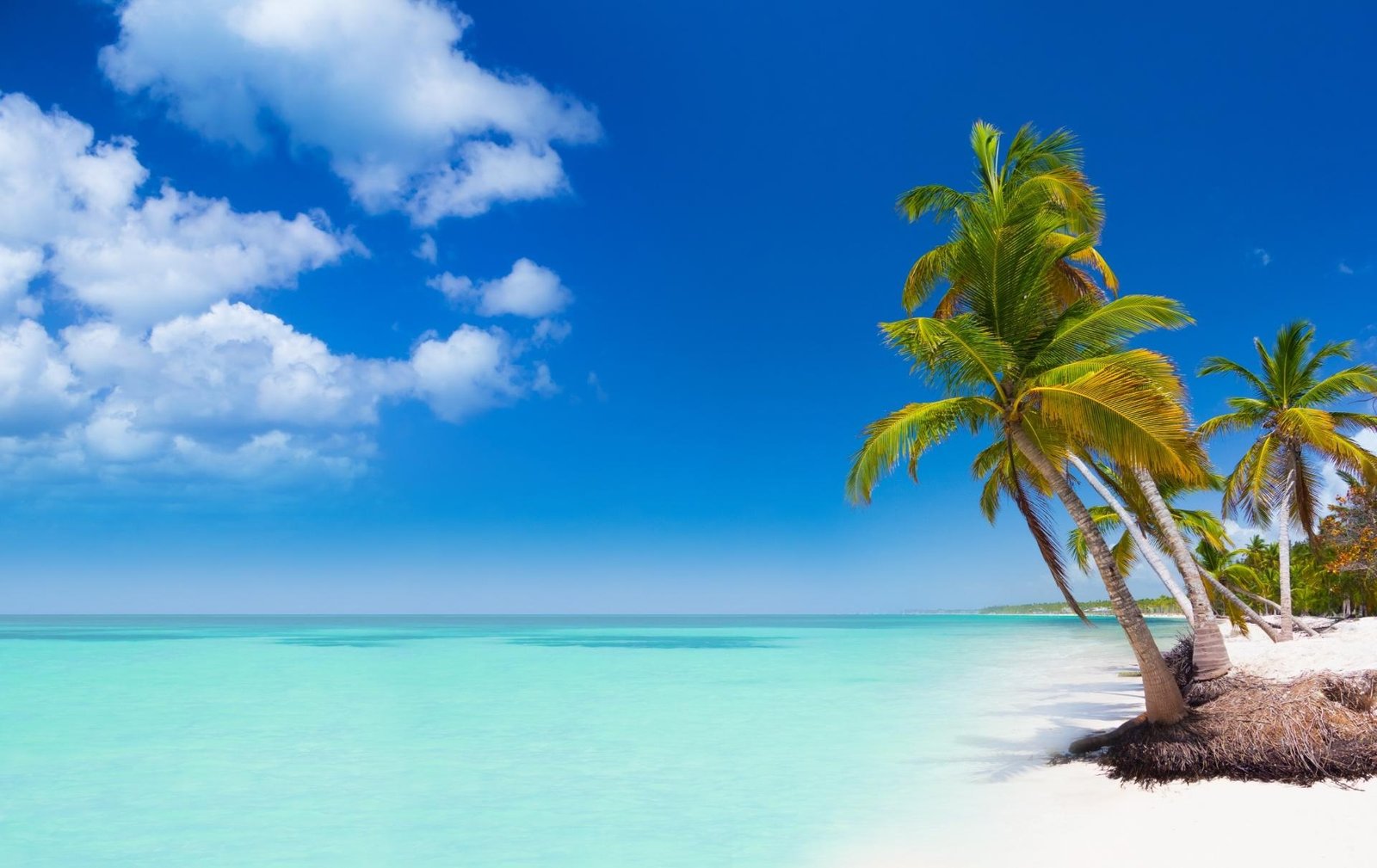 Viaje a Punta Cana todo incluido